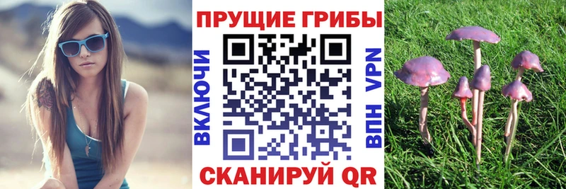 Галлюциногенные грибы Cubensis  omg ссылка  Топки 
